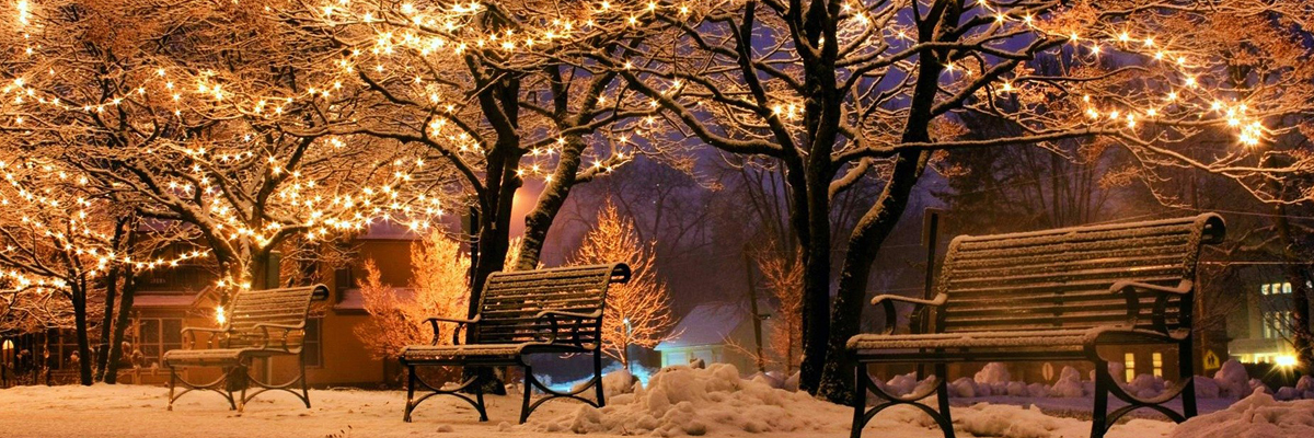 Holiday Reflections on 2021